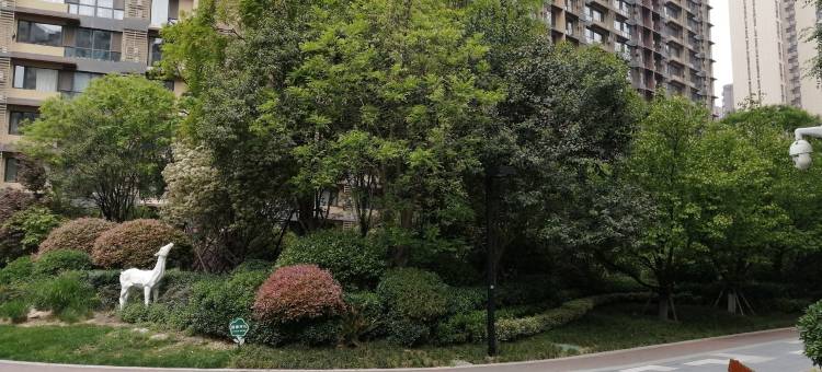 房东老铁公寓(广安路1号分店)图片