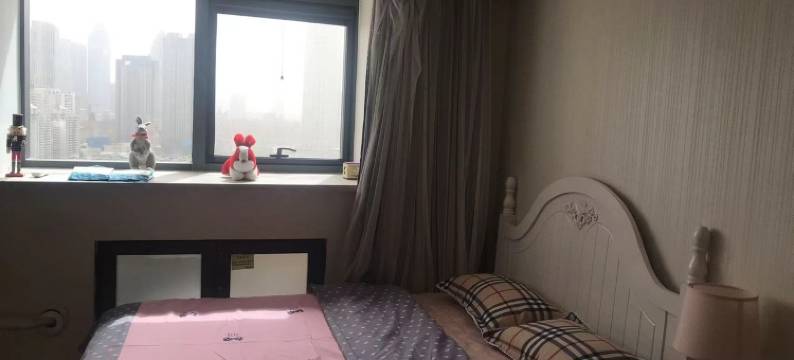 来时有灯火公寓(新开路分店)图片