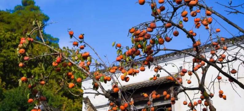 小公举的大白((oo))度假别墅(朱子大道分店)图片