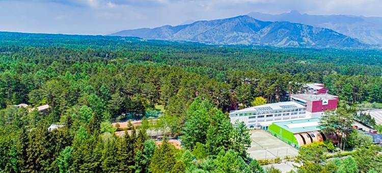 富士高级度假村(Fuji Premium Resort)图片