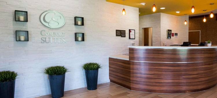 舒适套房酒店-伯锡尔城申里夫波特东(Comfort Suites Bossier City - Shreveport East)图片