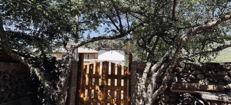 白沙古镇天净沙客栈(新尚段1号分店)图片