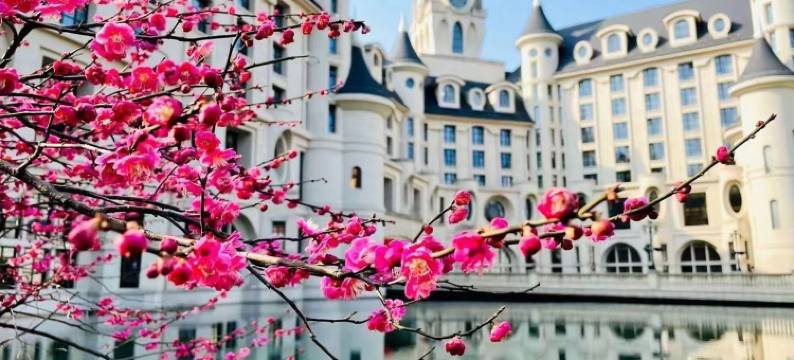 雲笙公寓(安吉大道分店)图片