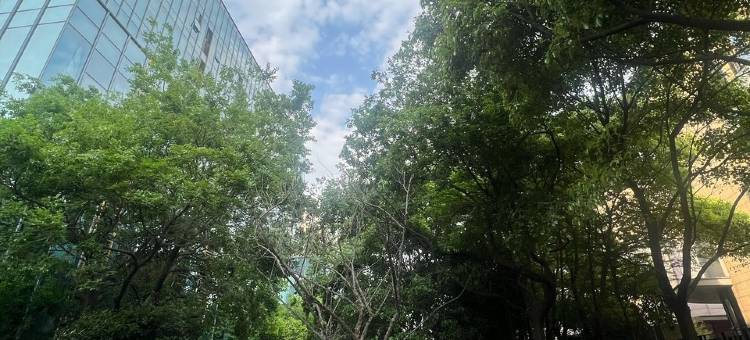 沪尚居loft公寓(浦顺路分店)图片