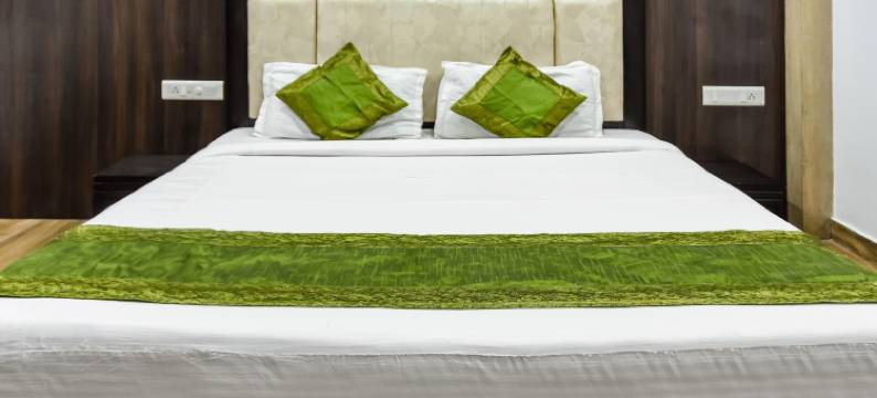 Treebo Red Petal Jalandhar图片