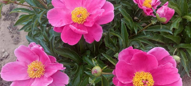 天源房东度假别墅(巴达嘎尔大街分店)图片