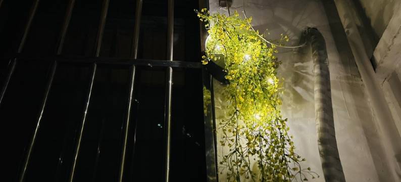 晓亿时光雪宝公寓(路西街分店)图片