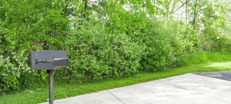 温德姆戴斯套房酒店-尼亚加拉瀑布/布法罗(Days Inn & Suites by Wyndham Niagara Falls/Buffalo)图片