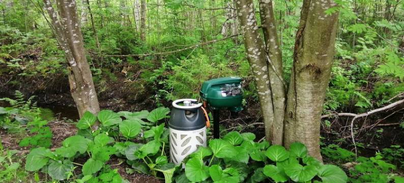 Ruokovirran mökki图片