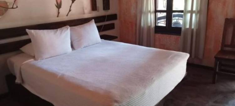 洛雷托的波萨达德拉斯弗洛雷斯精品酒店(Hotel Boutique Posada de Las Flores Loreto)图片