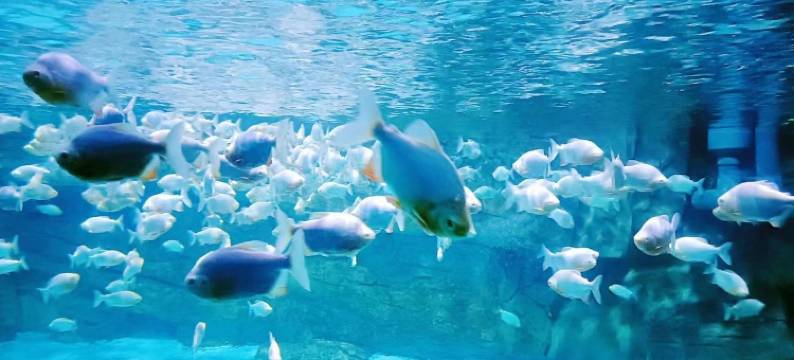 曲秀兰公寓(登州路分店)图片