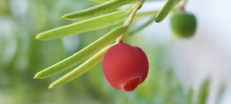 山水间日租民宿(文化街分店)图片