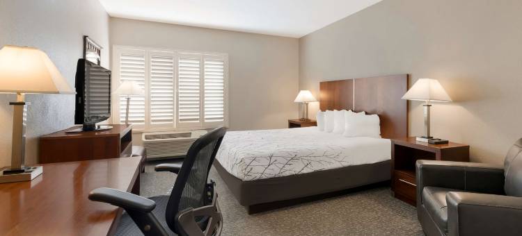 拉奈花园贝斯特韦斯特酒店(Best Western Lanai Garden Inn  Suites)图片