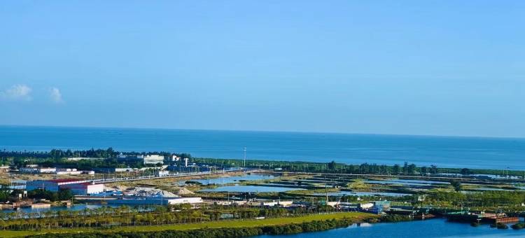 品藻间银滩民宿(滨江路分店)图片