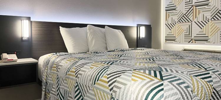 莫罗贝6号汽车旅馆(Motel 6 Morro Bay, CA)图片