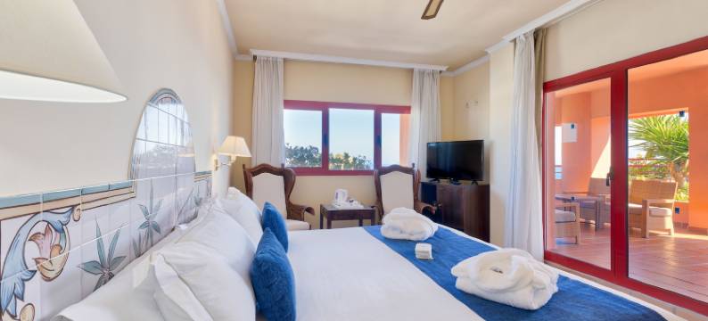 阿尔穆尼卡尔普拉亚水疗酒店(Ibersol Almuñecar Beach & Spa Hotel)图片