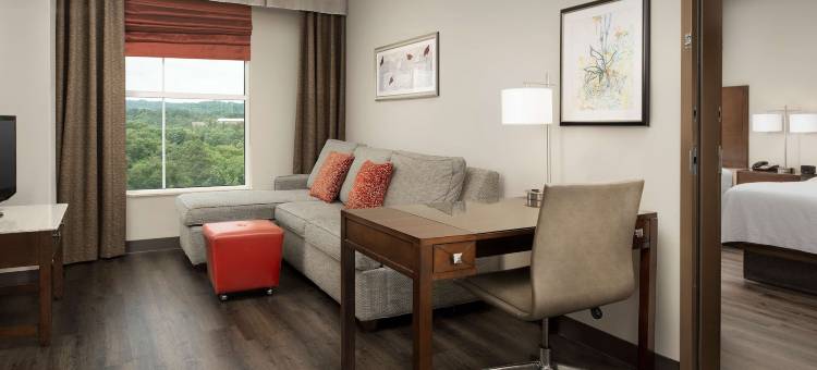 伯明翰胡佛希尔顿安泊酒店(Embassy Suites by Hilton Birmingham Hoover)图片