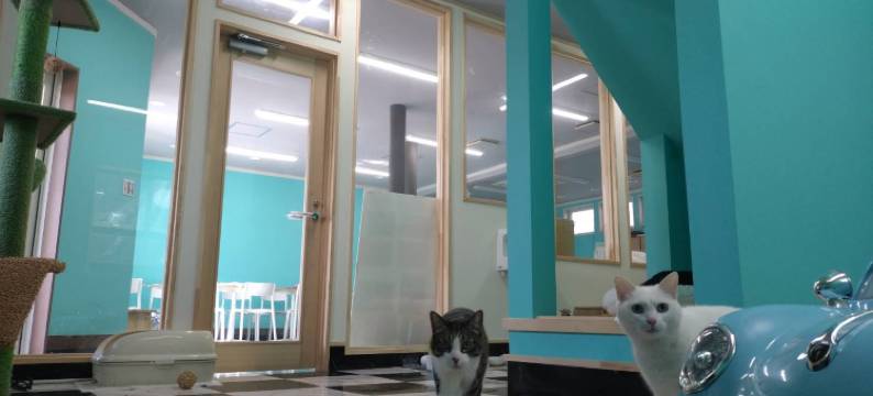 多摩酒店(Tama Hotel)图片