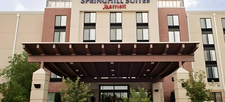 路易斯威尔赫斯特波/北部 SpringHill Suites 酒店(SpringHill Suites Louisville Airport)图片