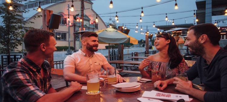 渥太华市区国会山假日酒店(Holiday Inn Ottawa Dwtn - Parliament Hill)图片