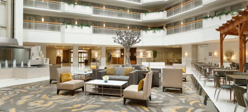 纽华克威尔明顿南希尔顿旗下大使套房酒店(Embassy Suites by Hilton Newark Wilmington South)图片