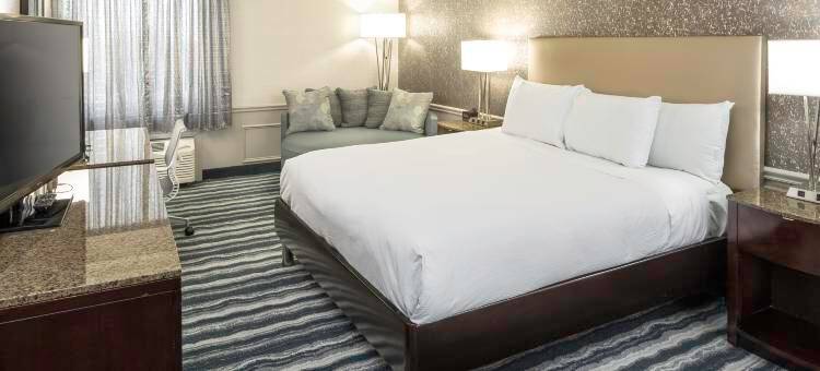 威尔明顿希尔顿逸林酒店(DoubleTree by Hilton Wilmington)图片