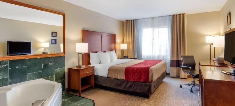 舒适套房酒店(Comfort Inn & Suites)图片