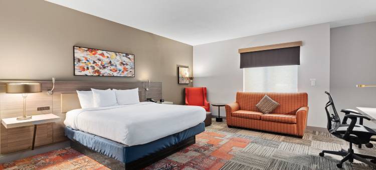 锡拉丘兹希尔顿花园酒店(Hilton Garden Inn Syracuse)图片