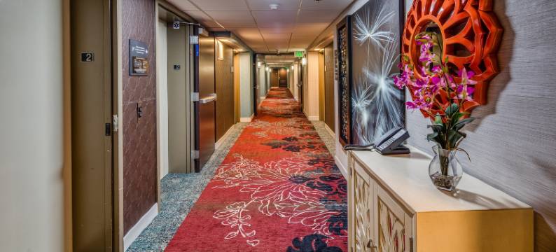 希尔顿欢朋酒店-旧金山机场(Hampton Inn San Francisco-Airport)图片