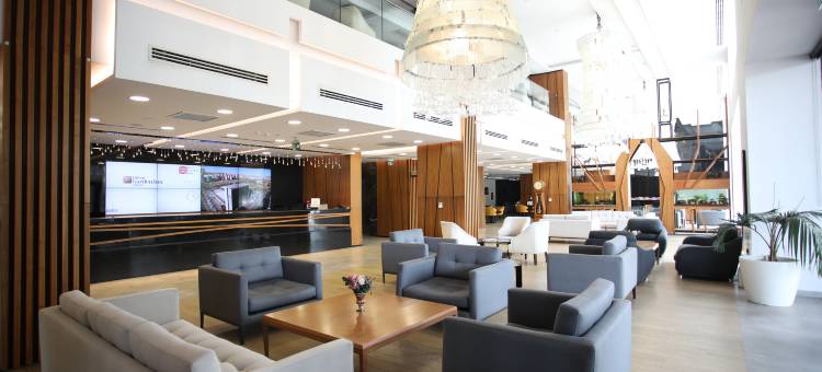 安卡拉吉玛特希尔顿花园酒店(Hilton Garden Inn Ankara Gimat)图片