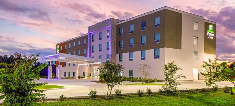 杰克逊维尔-麦克伦尼I-10智选假日套房酒店(洲际旗下)(Holiday Inn Express & Suites Jacksonville - Macclenny I-10 by IHG)图片