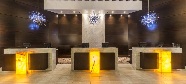 坦帕市中心希尔顿酒店(Hilton Tampa Downtown)图片