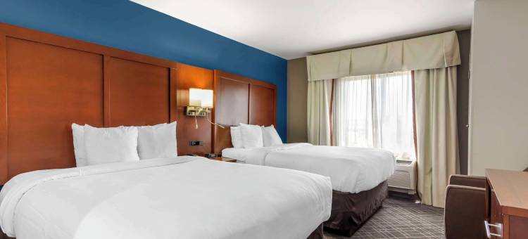 舒适套房酒店-亚特兰大机场(Comfort Suites Atlanta Airport)图片
