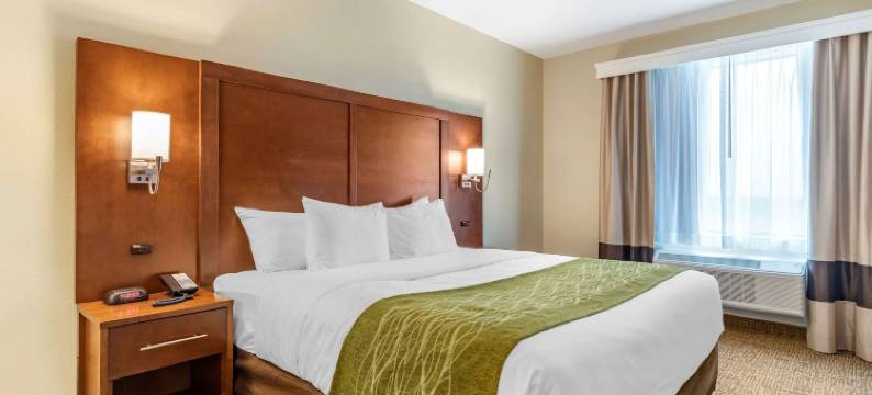 圣安东尼奥-萨姆休斯堡-军事医疗中心舒适套房酒店(Comfort Suites San Antonio Ft Sam Houston-Sammc Area)图片