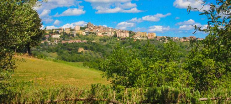 Millefiori农家乐(Agriturismomillefiori)图片