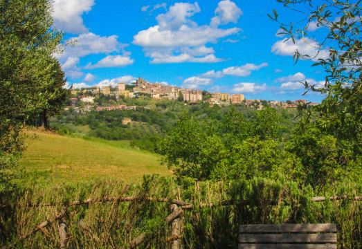 Agriturismomillefiori Hotel Overview