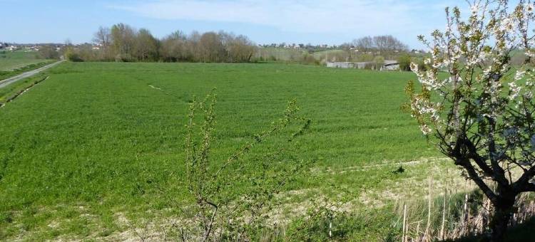 杜帕克酒店(Hostellerie du Parc)图片