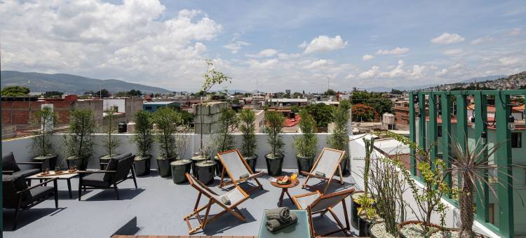 HOLT - 诺里亚别墅 - 绿泥之家(Holt - Villa Noria - la Casa del Barro Verde)图片