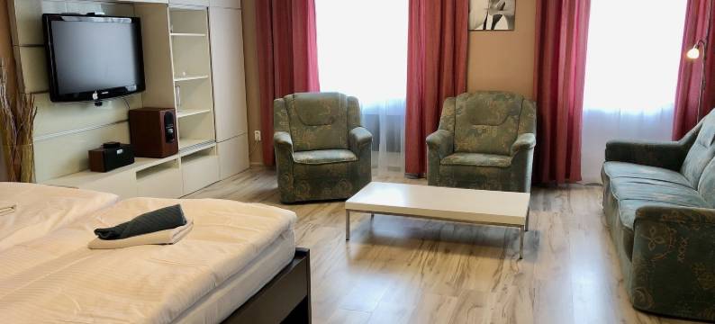 乡村旅馆(Pension Village)图片