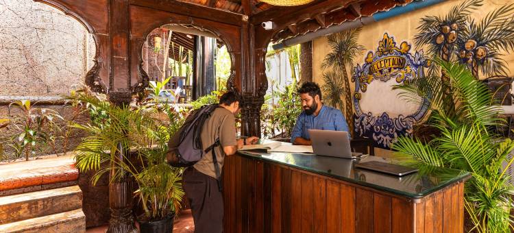 马德帕克戈亚(Madpackers Goa Anjuna - Bar & Pool)图片