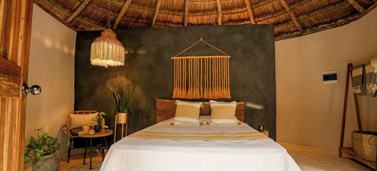 黄色巢穴(The Yellow Nest Tulum)图片