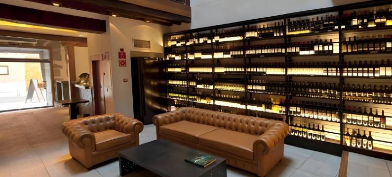 金狮精品酒店(Posada del León de Oro Boutique Hotel)图片