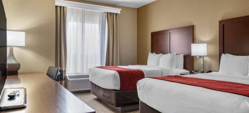 奥古斯塔舒适套房酒店(Comfort Inn & Suites Augusta)图片