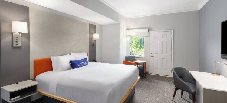 瓦尔登湖温德姆商标精选酒店(The Walden, Trademark Collection By Wyndham)图片