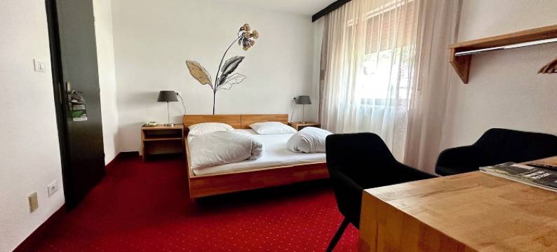 安娜兰得酒店(Landhotel Anna)图片