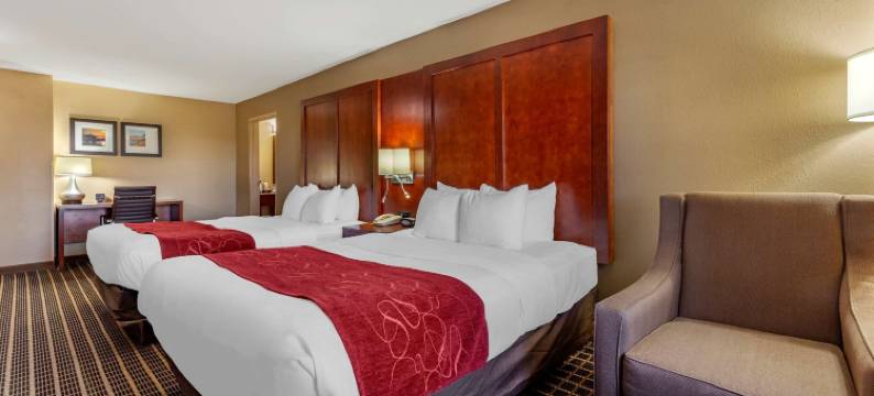 舒适套房酒店-德拉文日内瓦湖区(Comfort Suites Delavan - Lake Geneva Area)图片