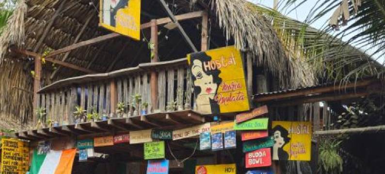 Maria Mulata Palomino图片