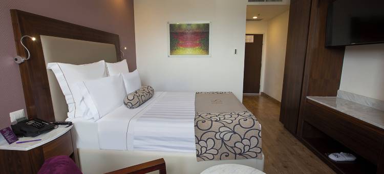 奎雷塔罗浩特森酒店(HS Hotsson Hotel Queretaro)图片