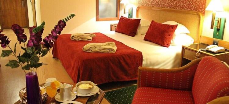 皇宫spa酒店 - 塔梅拉圣维森特(Palace Hotel & Spa - Termas de Sao Vicente)图片