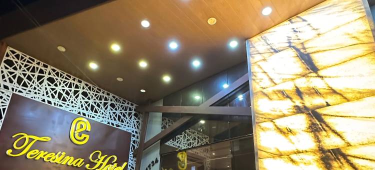 特雷西纳酒店(Teresina Hotel)图片
